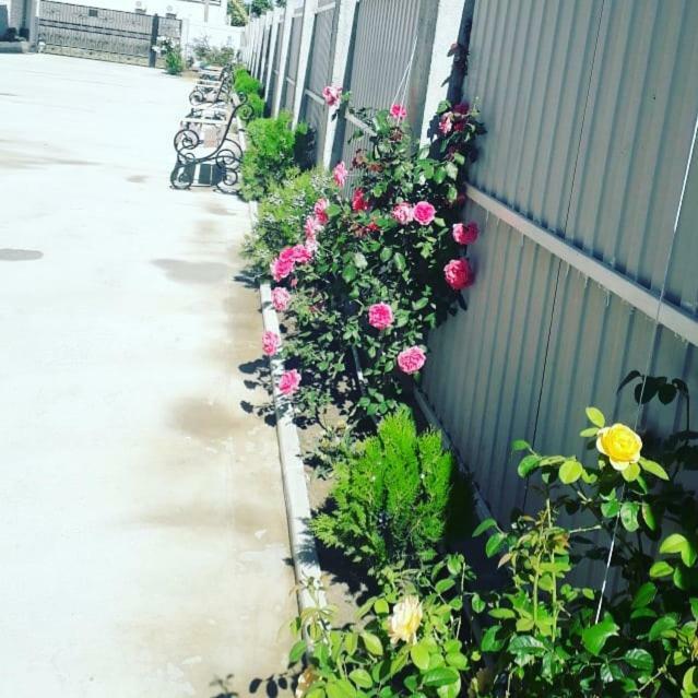 Sariya Hotel Kheivani Zewnętrze zdjęcie